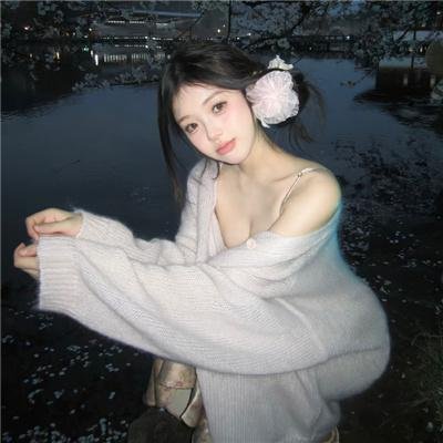 二呆流浪记之完全大人手册